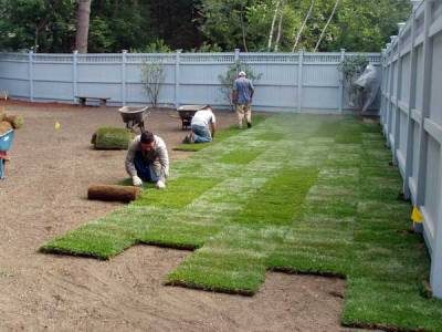 Landscapers laying down Turfgrass