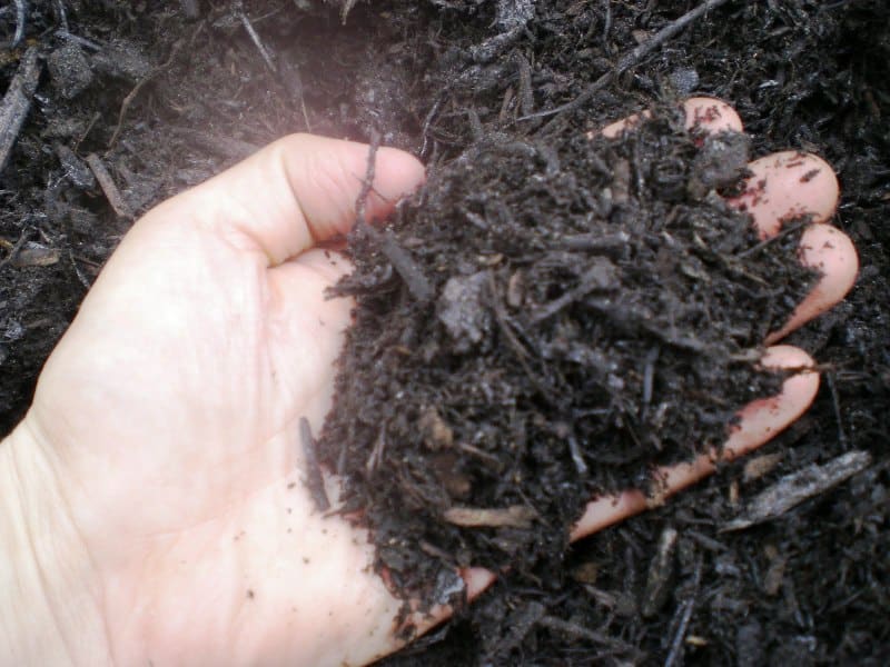 Manure Compost Mulch Installation