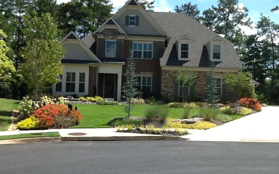 Lawn Transformation - After Sod Installation