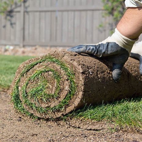 Lawn getting Installed with Sod Pieces