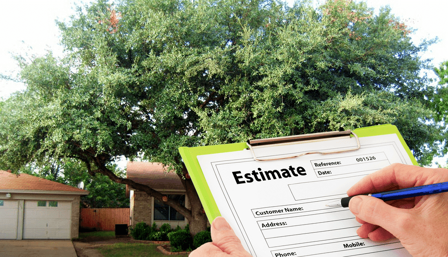 san antonio landscaping