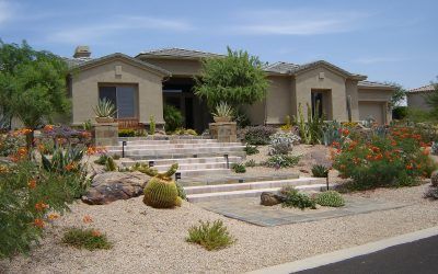 Landscape Styles & Themes