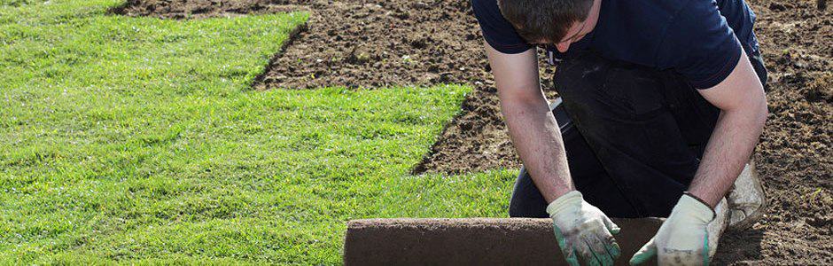 Landscape Installing Sod