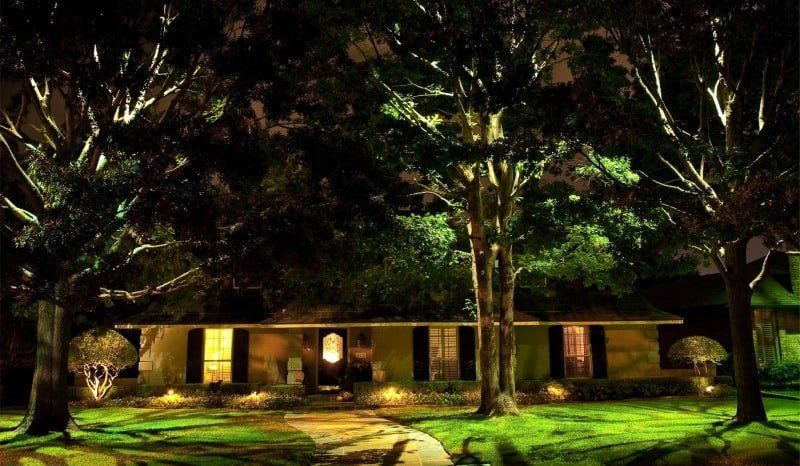 Tree Lights installed to create a moonlight effect of a Front Yard