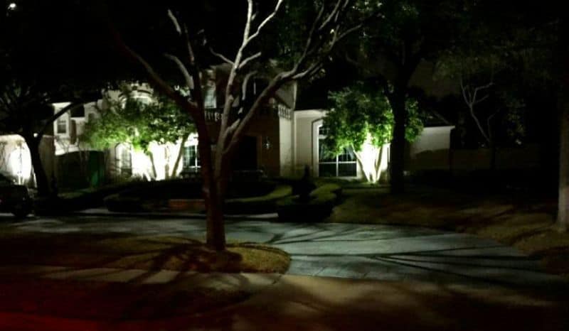 Landscape Tree Lighting used to create Moonlight effect on a Driveway