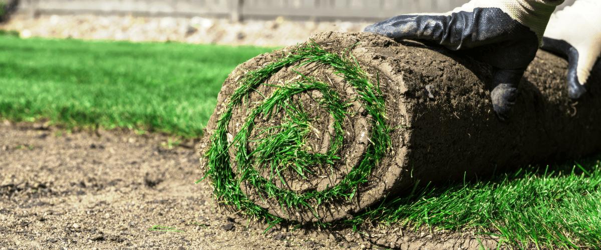 A close up image of landscaper unrolling a piece of sod