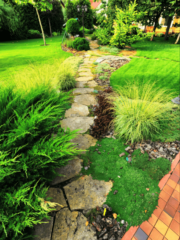 Backyard with flagstone patio, crushed rock, new sod, and shrubbery