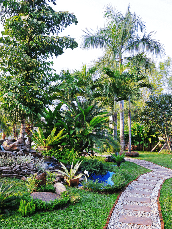 The backyard was transformed with a stone pathway, pond, and palm trees.