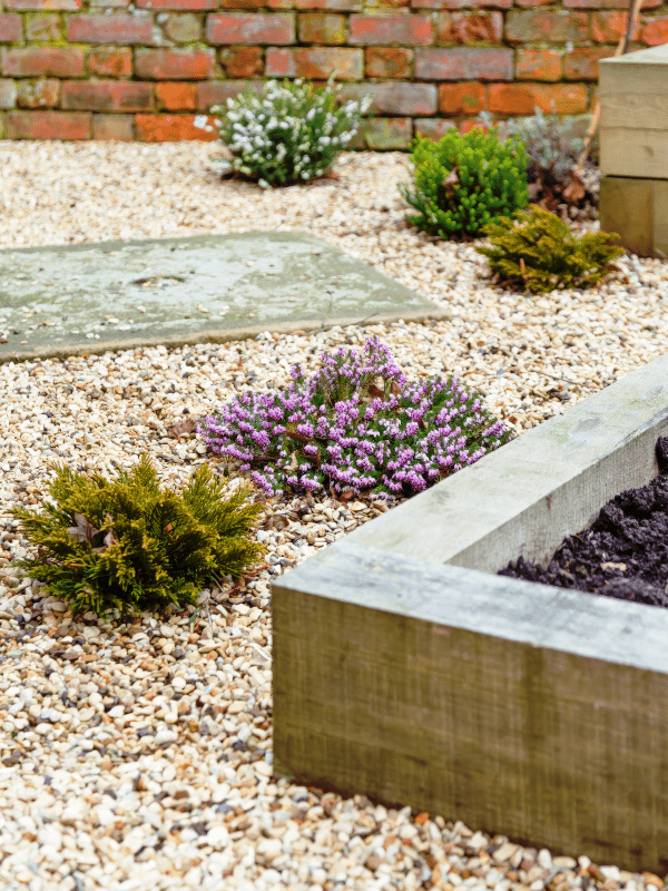 Gorgeous xeriscape installation with garden planter and shrubbery