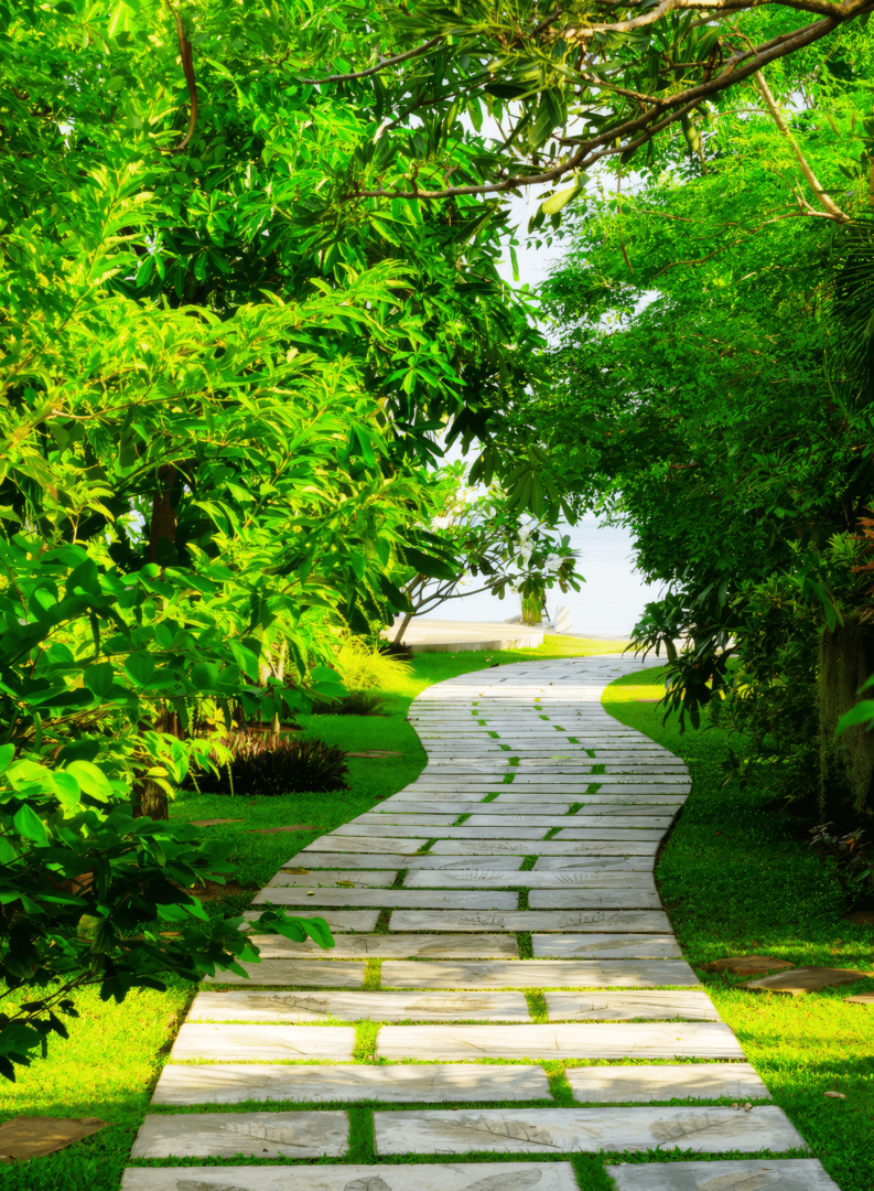 Pathway installed with sod placed between slate stones