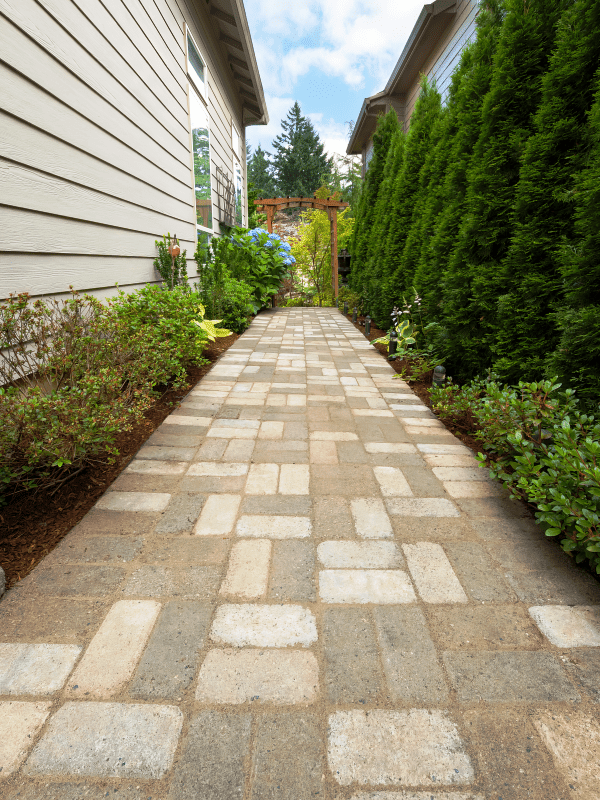 A Paver walkway was installed on the side of the house with planter areas on both sides.