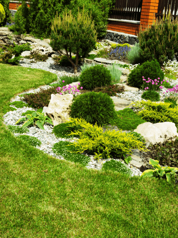 Planter bed with crushed rock and various plants and shrubs